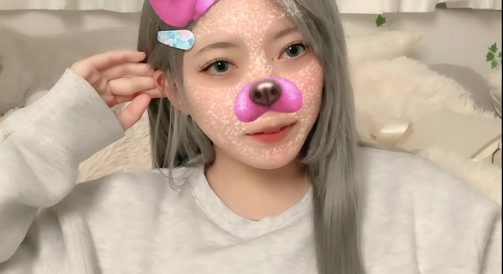メイン画像