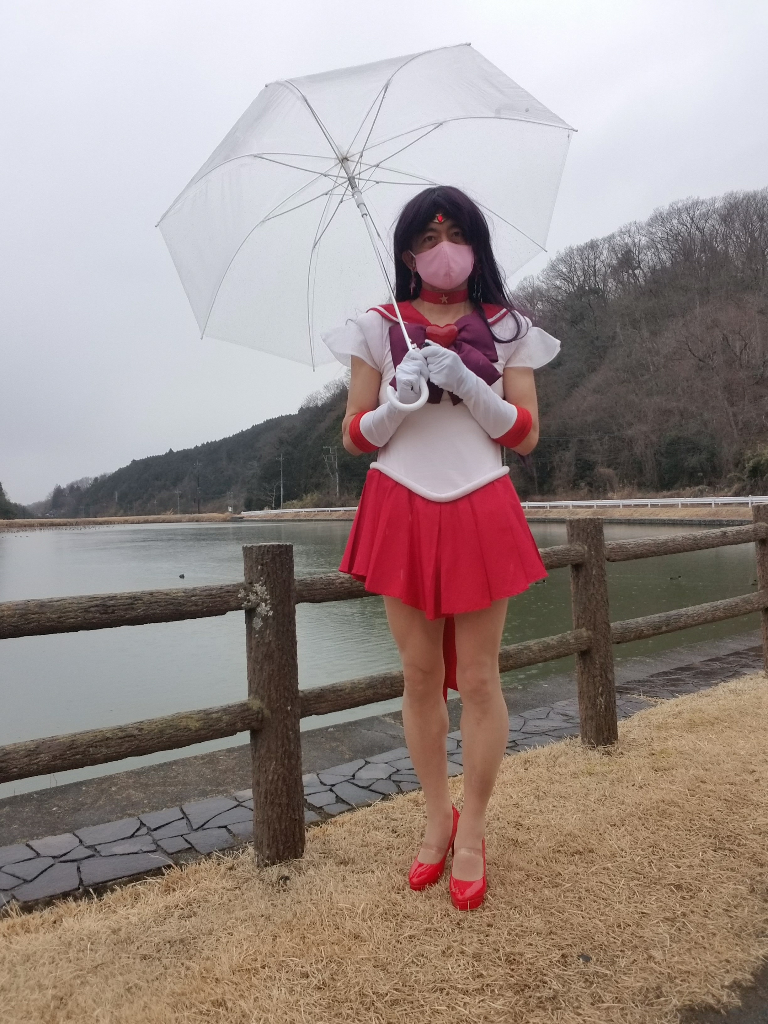 メイン画像