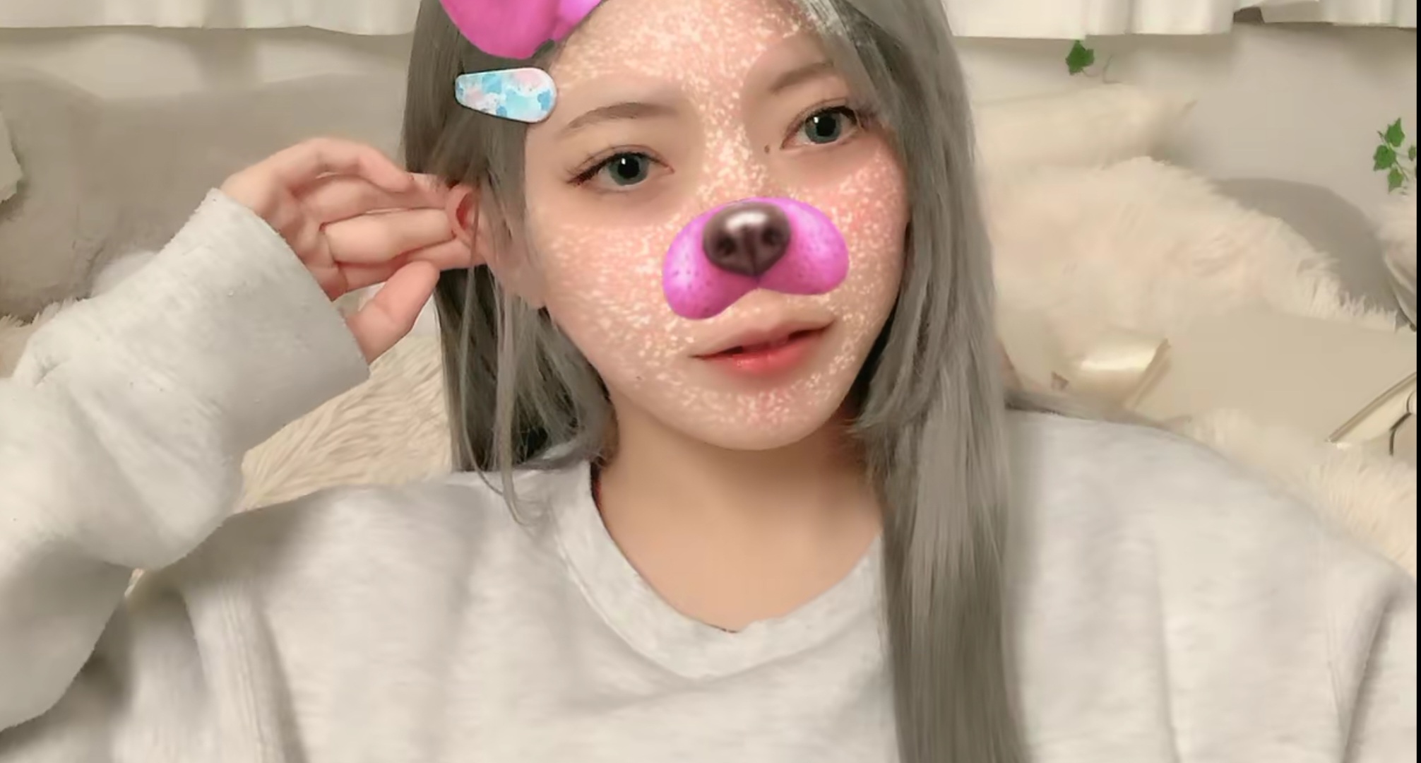 メイン画像