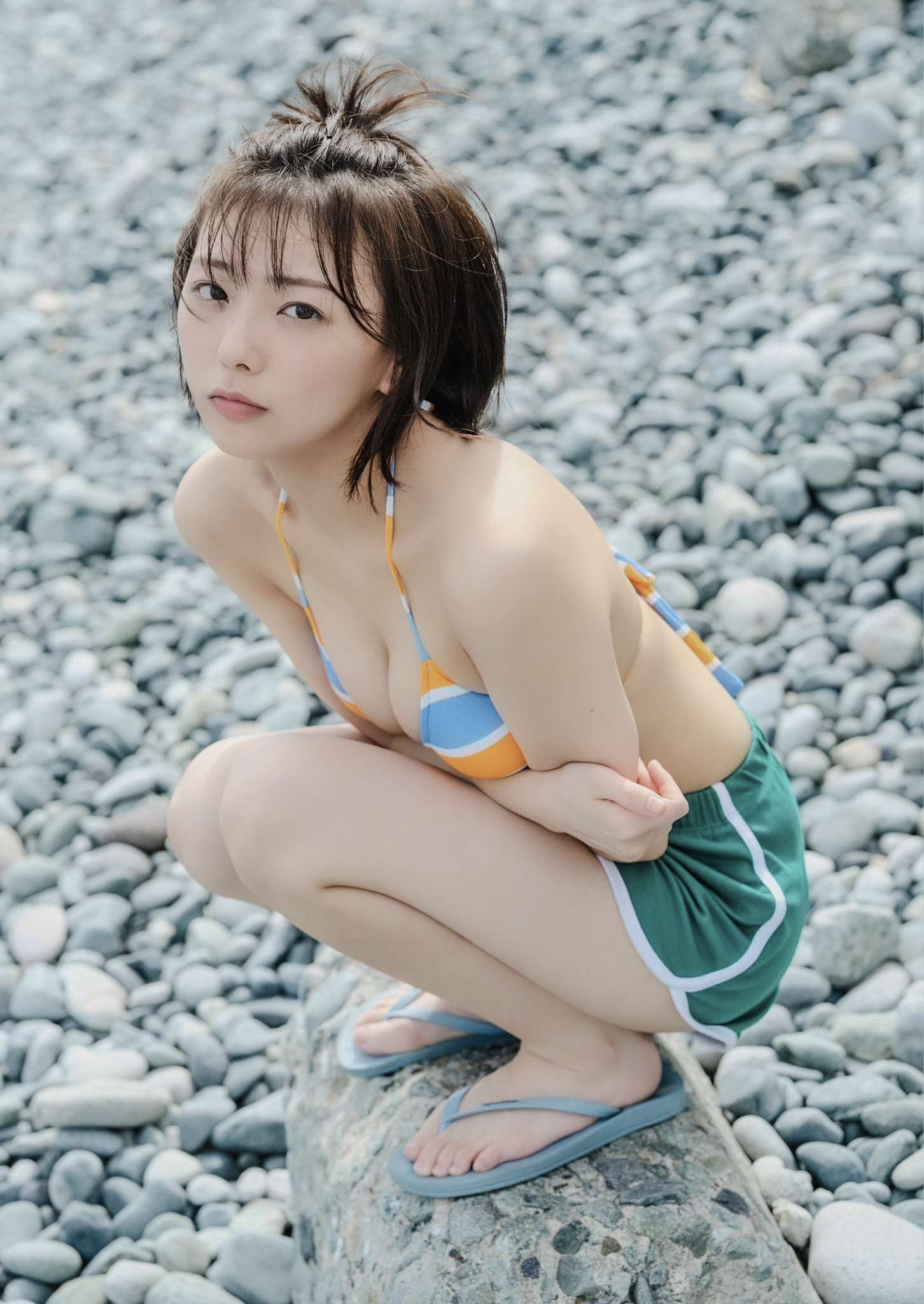 メイン画像