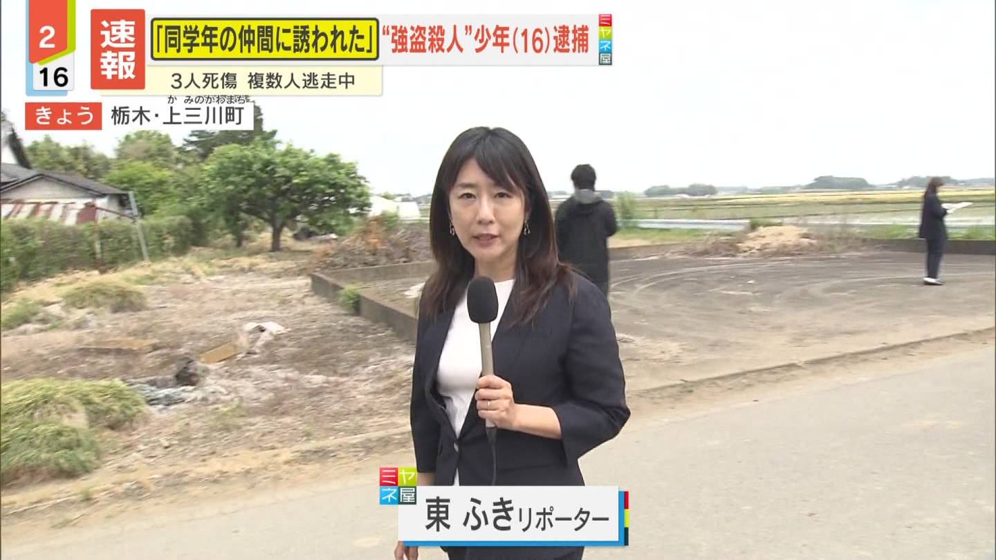 メイン画像
