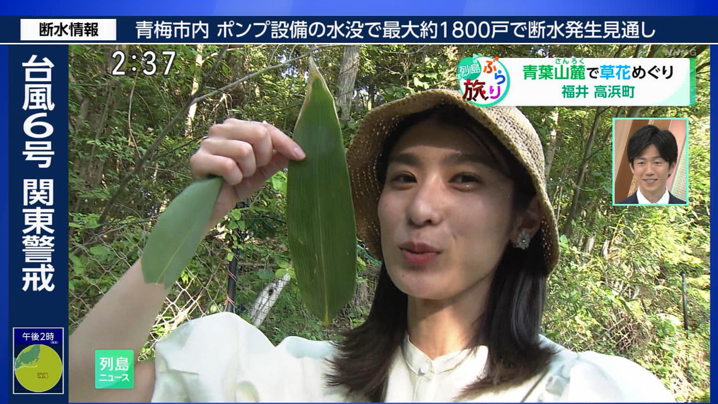 メイン画像