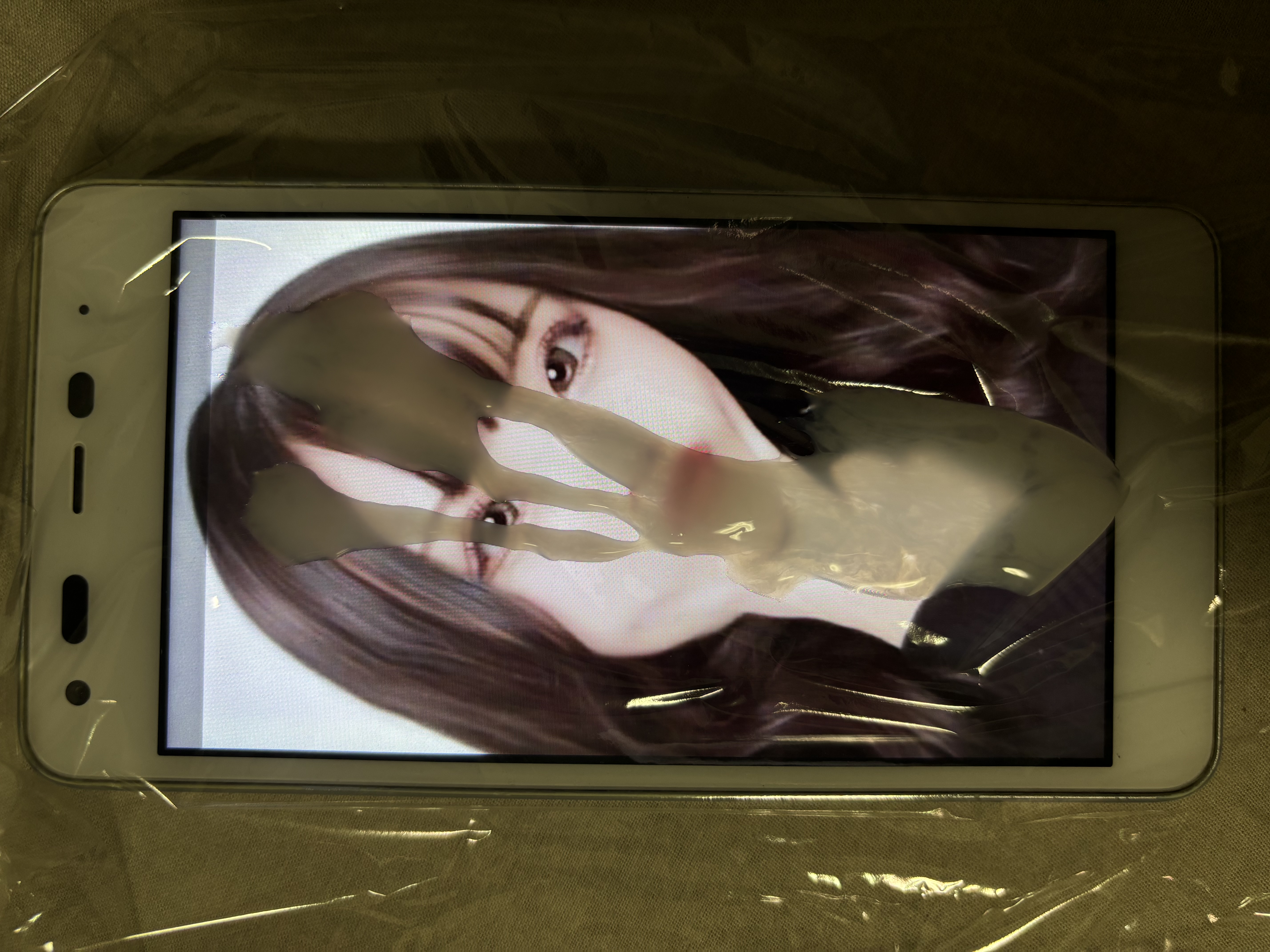 メイン画像
