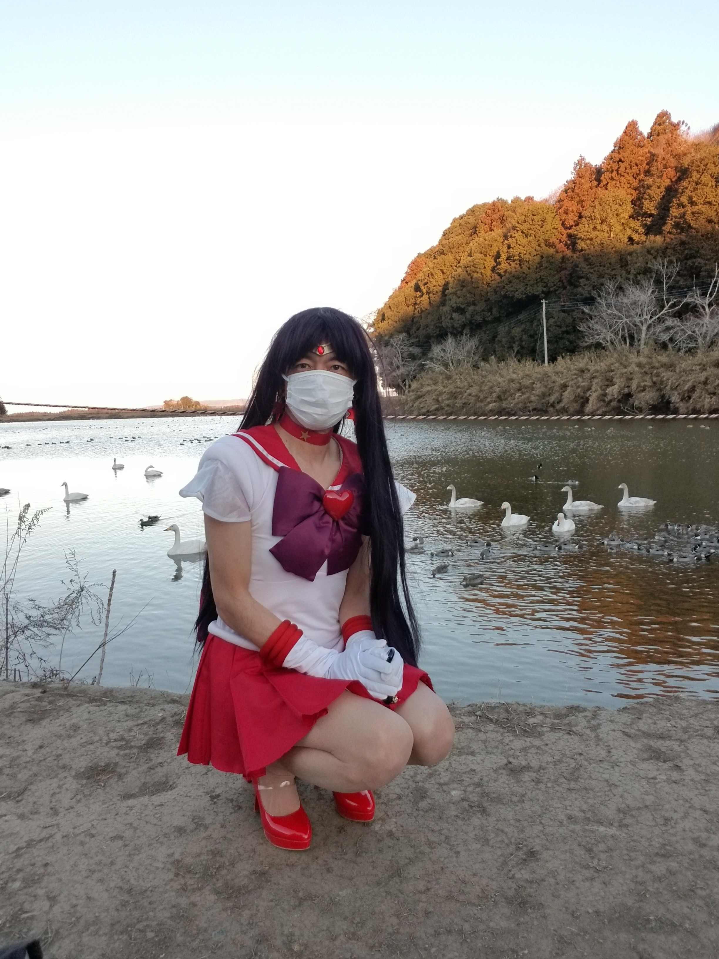 メイン画像